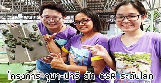 กิจกรรม CSR ระดับโลก บนเกาะสีชัง