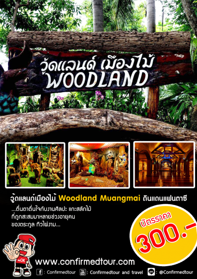 วู้ดแลนด์เมืองไม้ (WOODLAND)